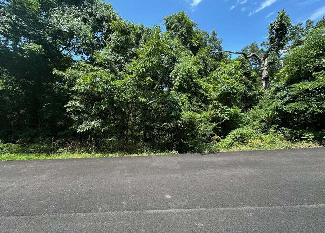 Property at Lot 9 Paola Ln, Kimberling, MO 65686
