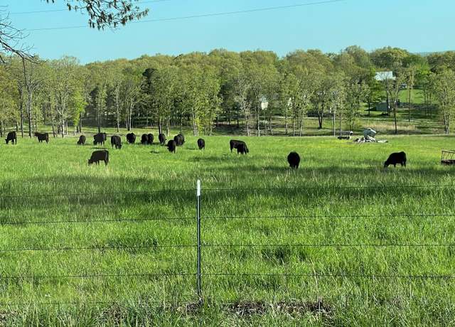 Property at 000 South Highway 95, Mountain Grove, MO 65711