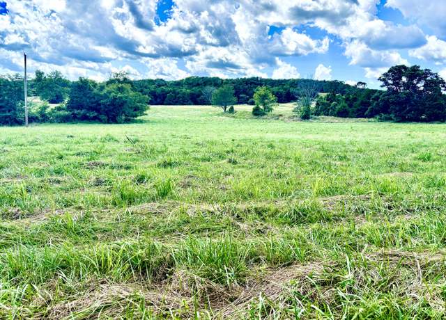 Property at 001 Tbd County Road 900, Theodosia, MO 65761
