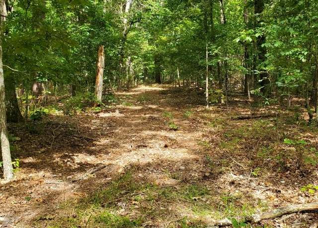 Property at 000 Hwy H, Noel, MO 64854