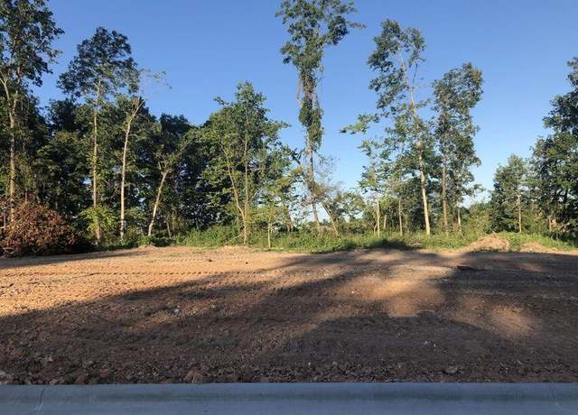 Property at Lot 6 S Dollison Ave, Springfield, MO 65810