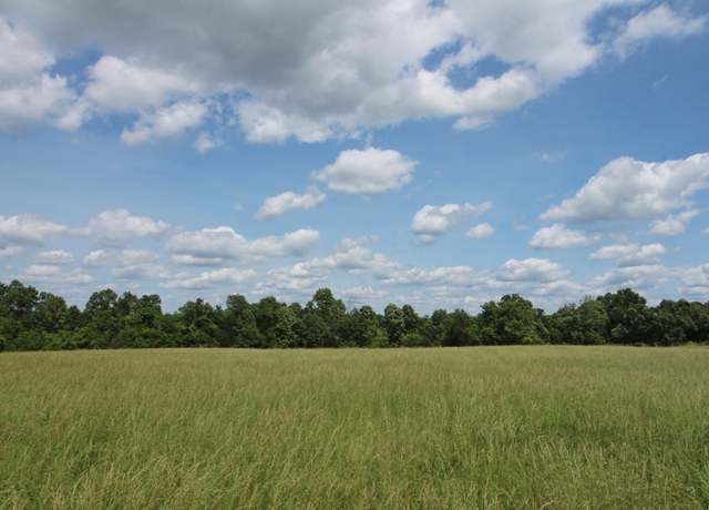 Property at 000 Couty Road 7830, Caulfield, MO 65626