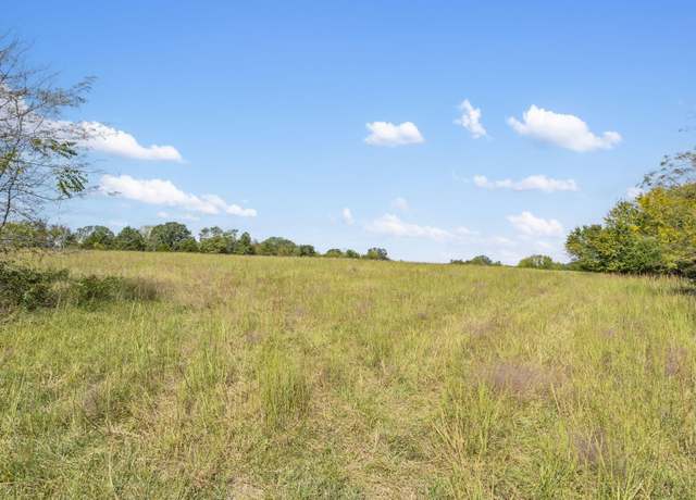 Property at 543 1-A Wild Rose Loop, Strafford, MO 65757