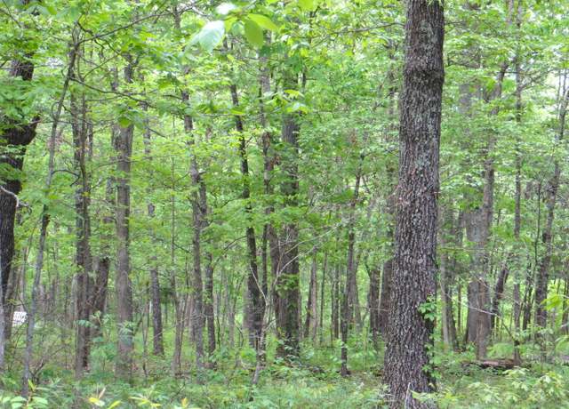 Property at Tbd County Road 206, Alton, MO 65606