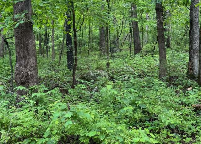 Property at 16106 County Road 109, Mansfield, MO 65704
