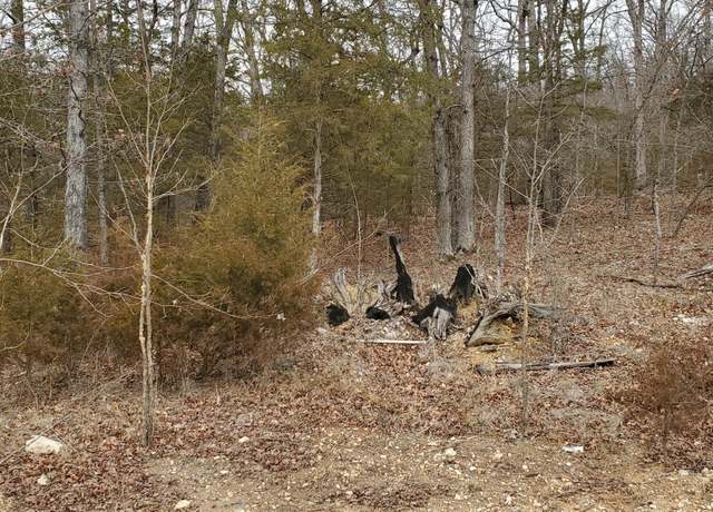 Property at 000 Lot 97 Summer Breeze Ln, Kimberling, MO 65686
