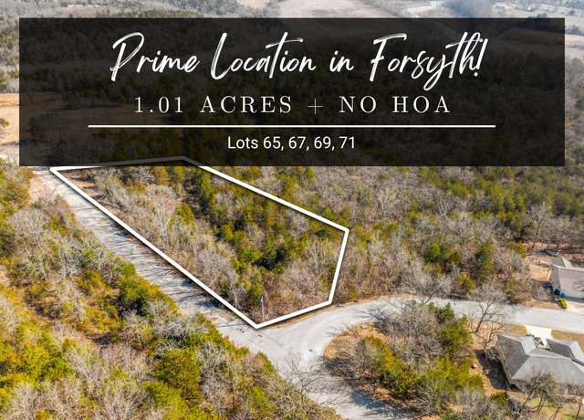 Property at Lots 65, 67, 69, 71 Swan Valley Dr, Forsyth, MO 65653