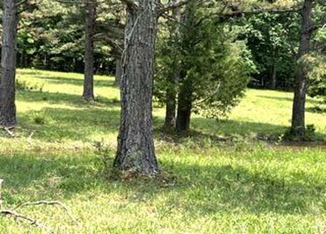 Property at Pr Off County Road 164, Fremont, MO 63941