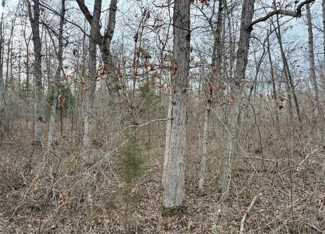 Property at 000 State Route Ww, Mountain View, MO 65548