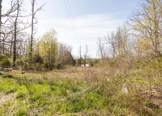 Property at 10050 Maya Dr, Conway, MO 65632
