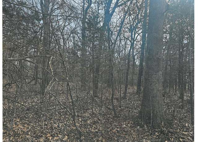 Property at 000 Pomme De Terre Rd, Branson, MO 65616