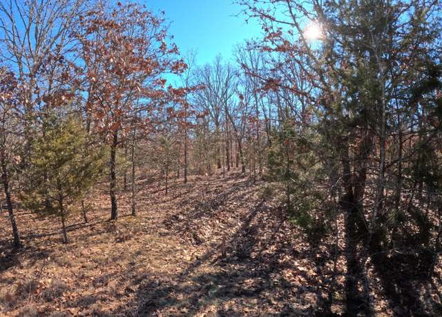 Property at Tract C Golden Ln, Lebanon, MO 65536