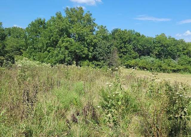 Property at Tbd Tr 2 N Farm Rd 215, Fair Grove, MO 65648