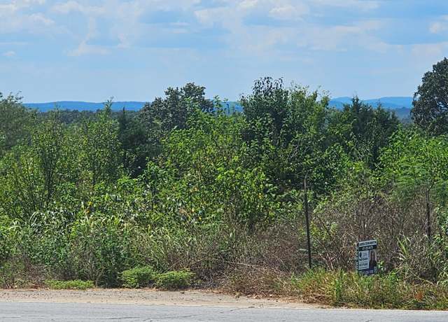 Property at 000 State Route 181, Dora, MO 65637