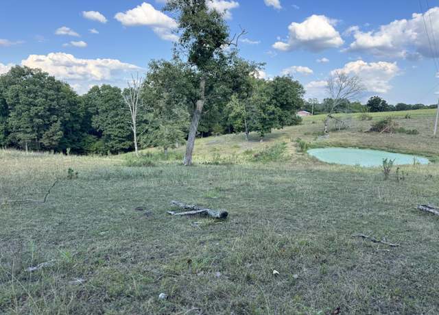 Property at 000 Center Rd, Ozark, MO 65721