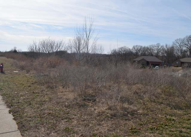 Property at Lot 112 S Black Sands Ave, Nixa, MO 65714