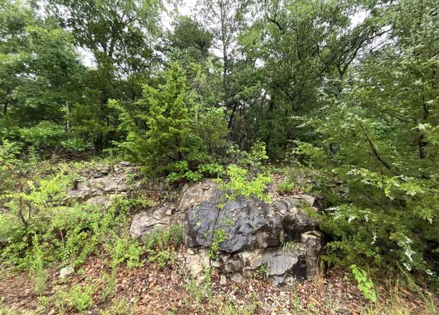 Property at Lot 104 Crescent Dr, Hollister, MO 65672