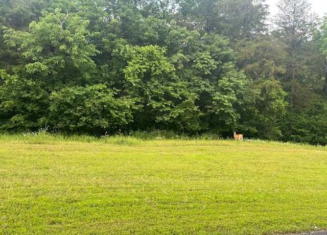 Property at Lot 7 Saddlebrooke Dr, Saddlebrooke, MO 65630
