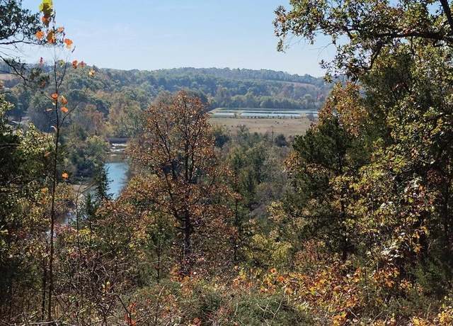 Property at 532 N Mabon Ave, Hartville, MO 65667