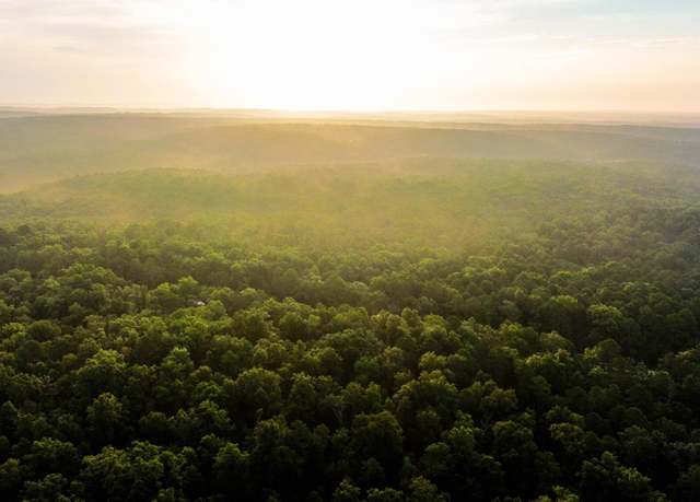 Property at 000 Y-617, Birch Tree, MO 65438