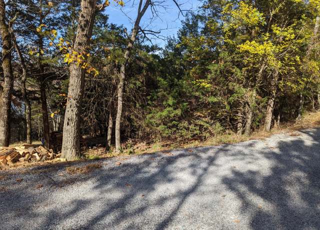 Property at 000 Cedar Bluff Dr, Golden, MO 65658