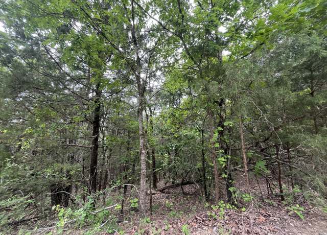 Property at 838 Marlin St, Kissee Mills, MO 65680