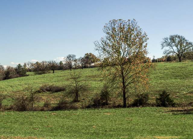 Property at Tract 4 East 425th Rd, Fair Play, MO 65649