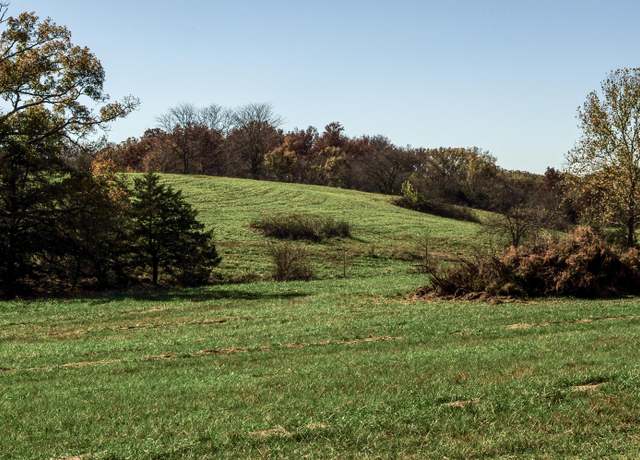 Property at Tract 5 East 425th Rd, Fair Play, MO 65649