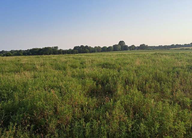 Property at 000 Johns Ford Rd, Rogersville, MO 65742