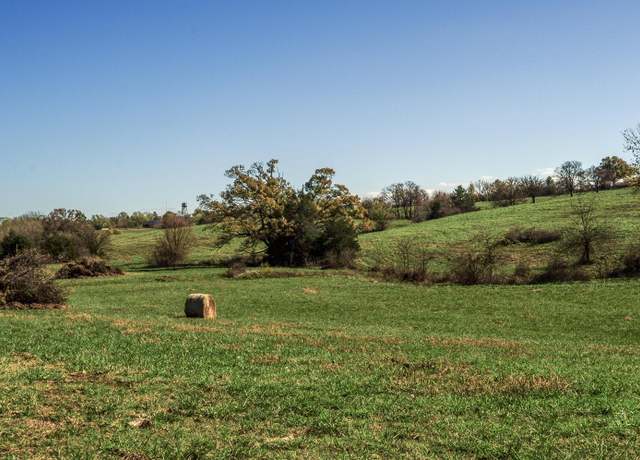 Property at Tract 6 East 425th Rd, Fair Play, MO 65649