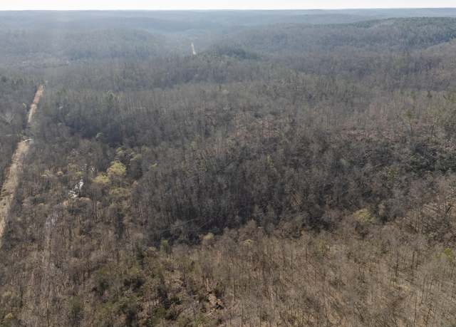 Property at 000 Highway 19, Winona, MO 65588