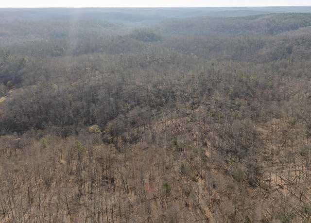 Property at 000 Highway 19, Winona, MO 65588