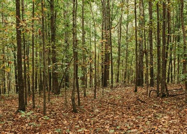 Property at 000 County Road 417 Lot 1, Ellington, MO 63638