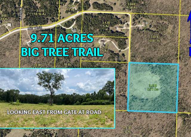 Property at Tbd Big Tree Trl, Jackson Township, MO 65622