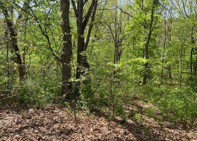 Property at 0 E Woodlawn Cir, Rogersville, MO 65742