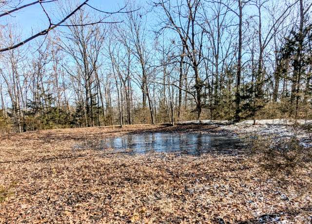 Property at Lot 202 Forest Lake Dr, Branson West, MO 65737