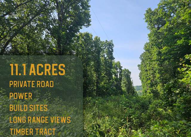 Property at 0 Private Drive Off Yy, Norwood, MO 65717