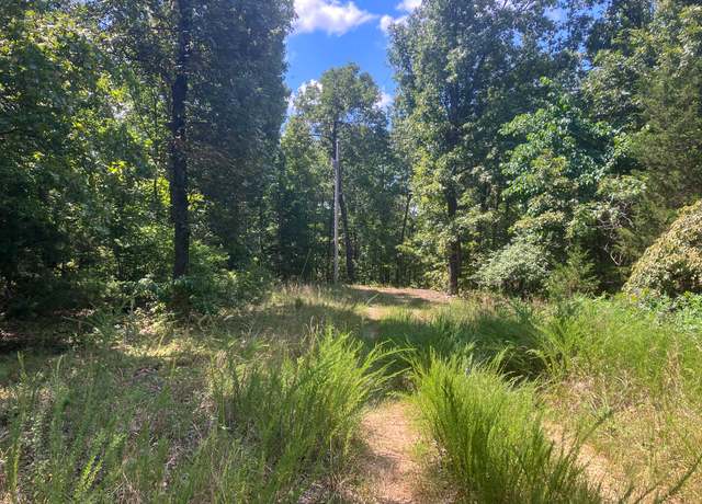 Property at 000 Us Highway 160, Dora, MO 65637