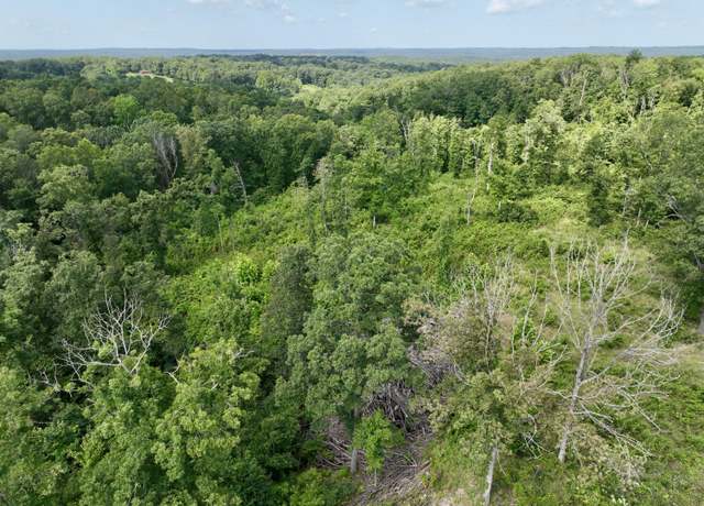 Property at 000 Songbird Rd, Powell, MO 65730