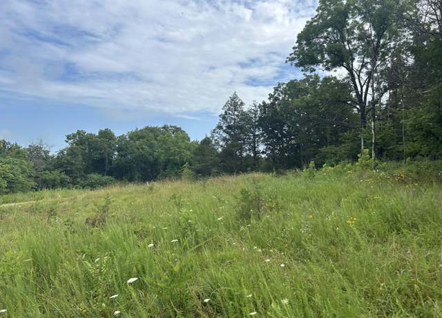 Property at 000 County Road Y-521, MO 65608