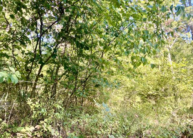 Property at 000 North Dade 173, Greenfield, MO 65661