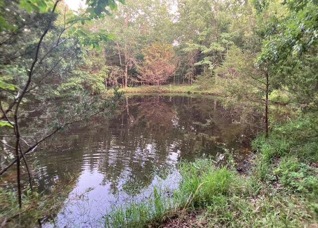 Property at 000 Saint George Rd #59, Hartville, MO 65667