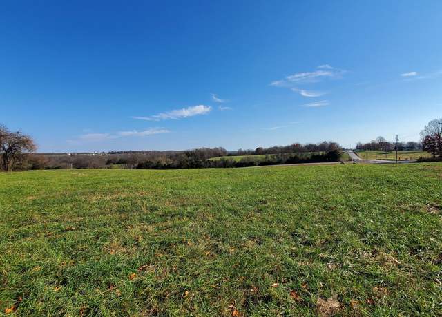 Property at 6577 S Lock Ln Unit (Lot 1), Republic, MO 65738