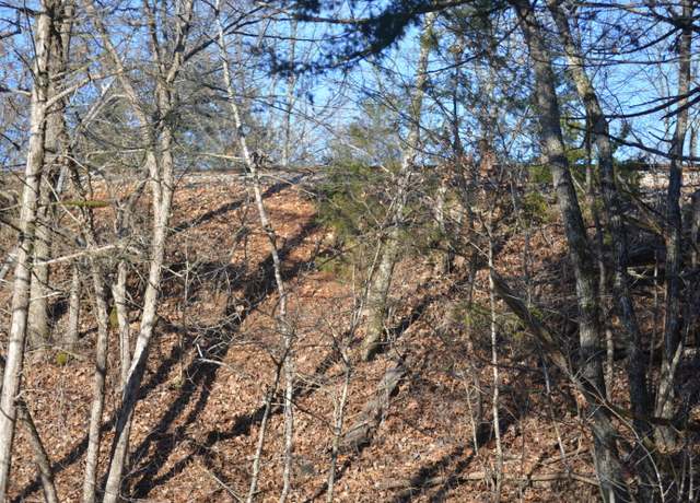 Property at 000 Baldknobber Dr, Reeds Spring, MO 65737
