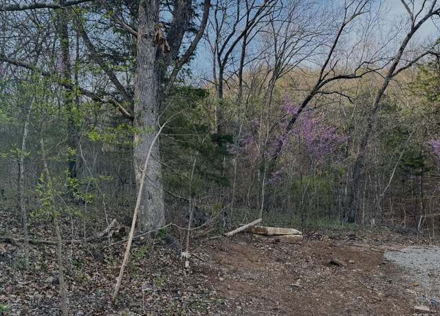Property at 112 Mill Brg, Lampe, MO 65681