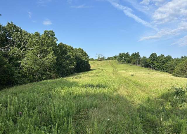 Property at 000 Terrace Ln, Cape Fair, MO 65624