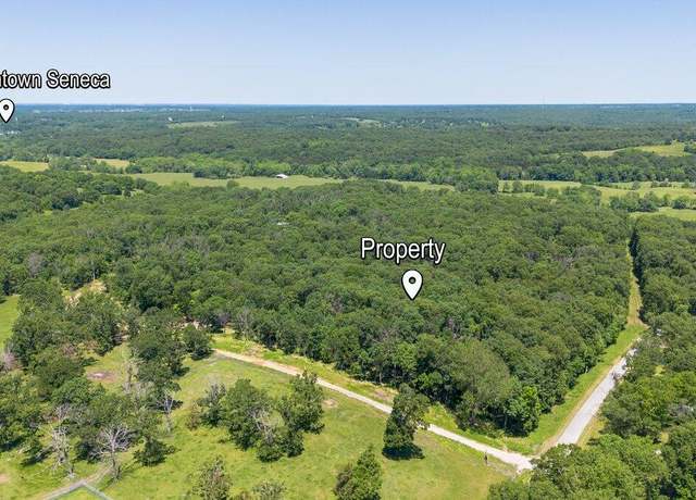 Property at 103 Penelope Ln, Seneca, MO 64865