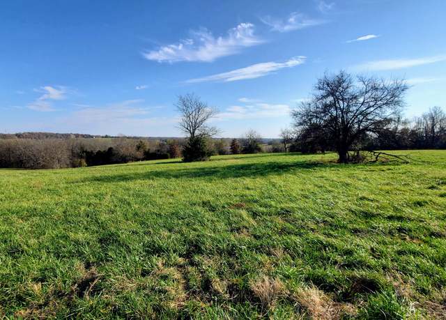 Property at 6536 S Barrel Blvd Lot 16, Republic, MO 65738