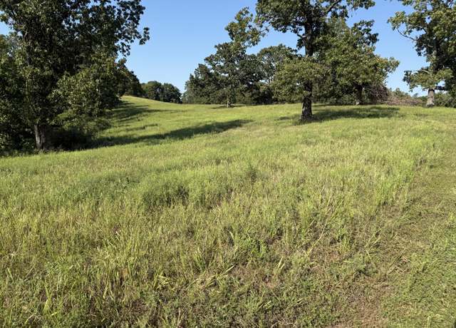 Property at 1006 Skaggs Hollow Rd, Pineville, MO 64856