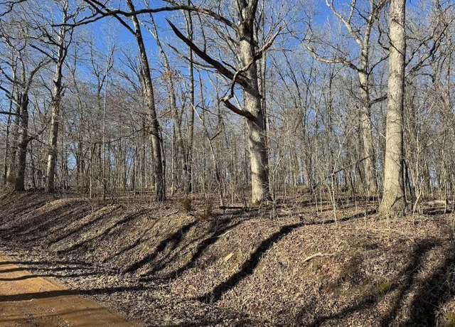 Property at Tract 12 County Road 256, Thayer, MO 65791